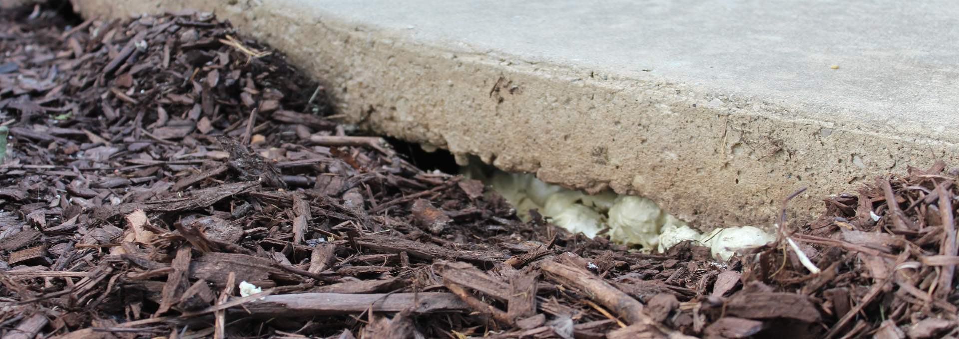 Polyurethane foam showing through a void under a concrete slab